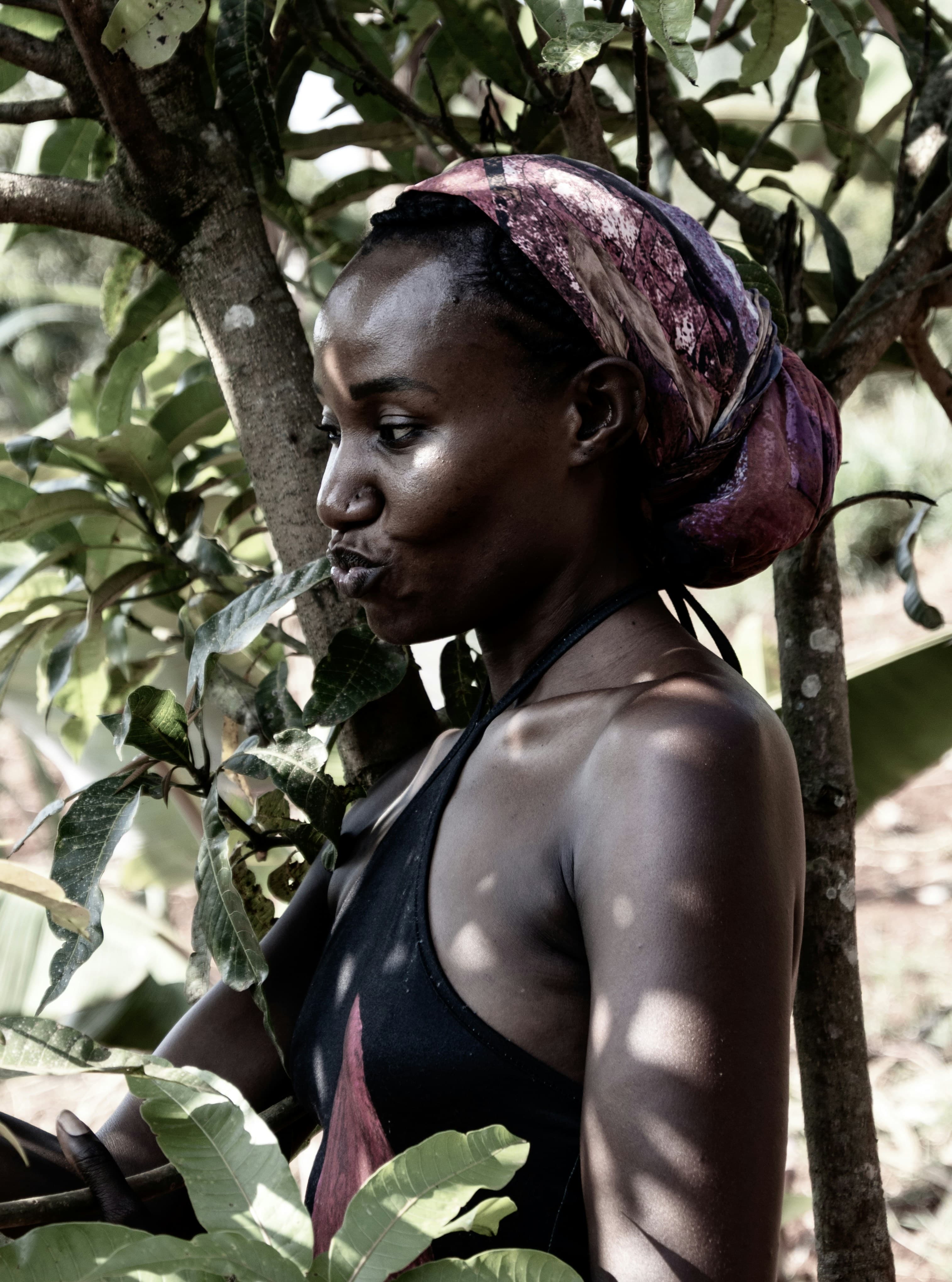Organic Coffee Beans